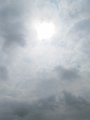 IMG_1312