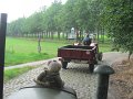 IMG_1325
