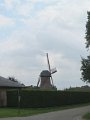IMG_1342