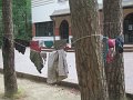 IMG_1366