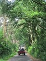 IMG_1406