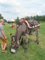 IMG_1419