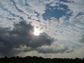IMG_1501