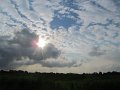 IMG_1502