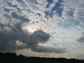 IMG_1504