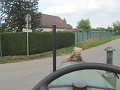IMG_1516