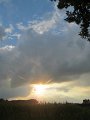 IMG_1531