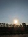 IMG_2587