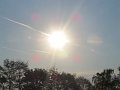 IMG_2589