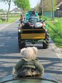 IMG_2786