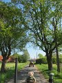 IMG_2800