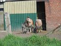 IMG_2804
