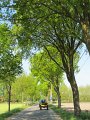 IMG_2814