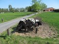 IMG_2817