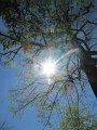 IMG_2980