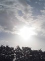 IMG_8878