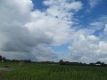 IMG_8985