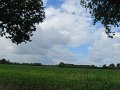 IMG_8986