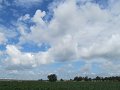 IMG_8989