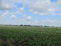 IMG_8998