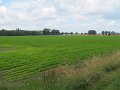 IMG_9003