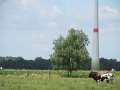 IMG_9015