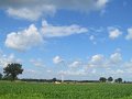 IMG_9017