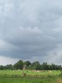 IMG_9131