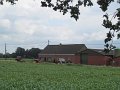 IMG_9135