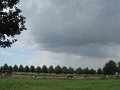 IMG_9138