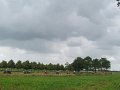 IMG_9139