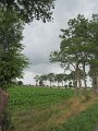 IMG_9140