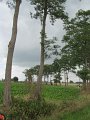 IMG_9141