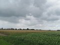 IMG_9142