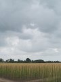 IMG_9143