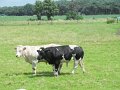 IMG_9167
