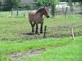 IMG_9170