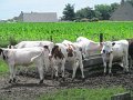 IMG_9186