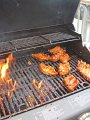 IMG_9256
