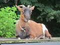 IMG_9306