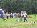 IMG_9323