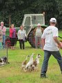 IMG_9326