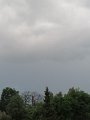 IMG_4313