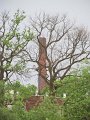 IMG_4314