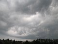 IMG_4315