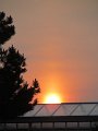 IMG_4339