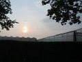 IMG_4356