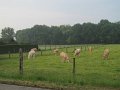 IMG_4365