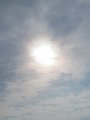 IMG_4402