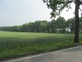 IMG_4405